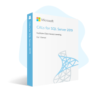 CALs for SQL Server 2019 sql_19_cals-angle