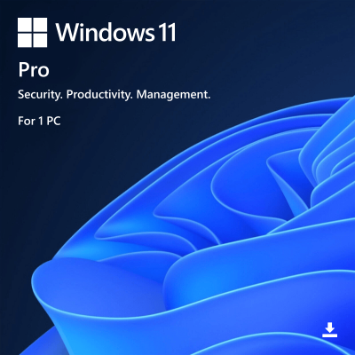 Windows 11 Pro 11_pro-big
